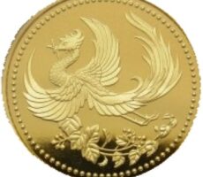 天皇陛下御在位10年記念　1万円金貨