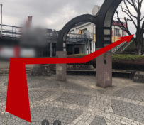西友楽市守谷店_南守谷駅から_道のり2